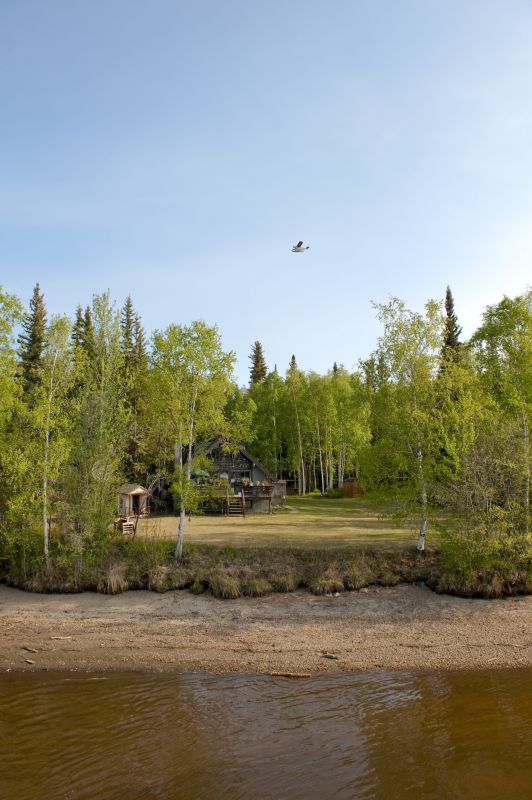 Land Clearing detail