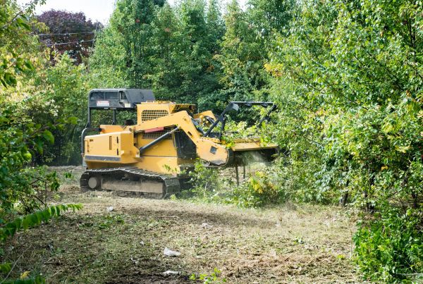 Pathway Clearing