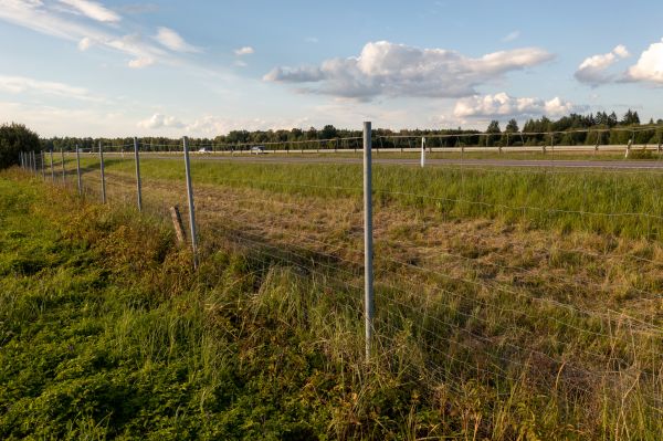 Property Line Clearing
